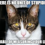 Devious Cat | THERE IS NO UNIT OF STUPIDITY; CAPABLE OF MEASURING YOUR LEVEL | image tagged in devious cat | made w/ Imgflip meme maker