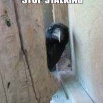 Peekaboo Crow | WHEN YOU CANT STOP STALKING; YOUR CRUSH | image tagged in peekaboo crow | made w/ Imgflip meme maker