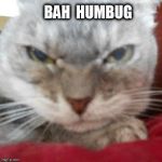 Toy Toy is angry  | BAH  HUMBUG | image tagged in toy toy is angry | made w/ Imgflip meme maker