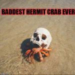 badass crab | BADDEST HERMIT CRAB EVER | image tagged in badass crab,badass | made w/ Imgflip meme maker