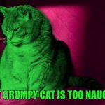 Too Naughty For Santa | THAT GRUMPY CAT IS TOO NAUGHTY | image tagged in cantankerous raycat,memes | made w/ Imgflip meme maker