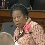 Sheila Jackson Lee  meme