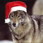Wolf Christmas