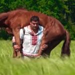 Horse rides you