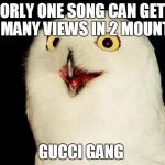 Orly Owl | ORLY ONE SONG CAN GET SO MANY VIEWS IN 2 MOUNTHS; GUCCI GANG | image tagged in orly owl | made w/ Imgflip meme maker