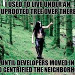 rents went through the roof...er, roots! | I USED TO LIVE UNDER AN UPROOTED TREE OVER THERE; UNTIL DEVELOPERS MOVED IN AND GENTRIFIED THE NEIGHBORHOOD | image tagged in black metal dude in forest,memes,black metal,development,neighborhood,immortal | made w/ Imgflip meme maker