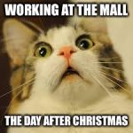 scared cat | WORKING AT THE MALL; THE DAY AFTER CHRISTMAS | image tagged in scared cat | made w/ Imgflip meme maker