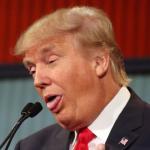 Trump stupid face mocking reporter