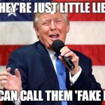 Like Fake News only Less Fake | . | image tagged in fakers,who dems,are takers,dump dems,trump matters,memes | made w/ Imgflip meme maker