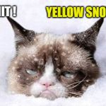 Grumpy cat snow | YELLOW SNOW; SHIT ! | image tagged in grumpy cat snow | made w/ Imgflip meme maker