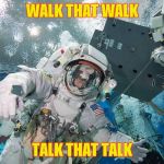 Spacewalk Training | WALK THAT WALK; TALK THAT TALK | image tagged in spacewalk training | made w/ Imgflip meme maker
