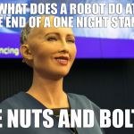 Question for Sophia the Robot.. | WHAT DOES A ROBOT DO AT THE END OF A ONE NIGHT STAND? HE NUTS AND BOLTS | image tagged in sophia robot | made w/ Imgflip meme maker