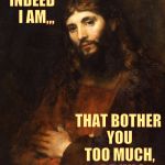 Mellow Bro Jesus,,, | INDEED   I AM,,, THAT BOTHER YOU TOO MUCH,   BRUH? | image tagged in mellow bro jesus   | made w/ Imgflip meme maker