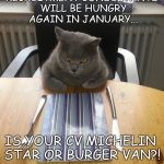 Hungry Cat | RECRUITMENT CONSULTANTS WILL BE HUNGRY AGAIN IN JANUARY... IS YOUR CV MICHELIN STAR OR BURGER VAN?! | image tagged in hungry cat | made w/ Imgflip meme maker