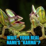 What were his parents thinking? :) | WAIT... YOUR REAL NAME'S "KARMA"? | image tagged in chameleons,memes,animals,culture club,music,80s music | made w/ Imgflip meme maker