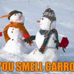 An oldie but a... Nah - just an oldie :) | DO YOU SMELL CARROTS? | image tagged in snowmen,memes,snow,winter,carrots,old jokes | made w/ Imgflip meme maker