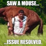Horse rides you | SAW A MOUSE... ...ISSUE RESOLVED. | image tagged in horse rides you | made w/ Imgflip meme maker