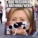 Dog Peeing On HIllary Clinton | DOG DECLARED A NATIONAL HERO. | image tagged in dog peeing on hillary clinton | made w/ Imgflip meme maker