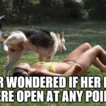 Dog Pees on Girl | EVER WONDERED IF HER EYES WERE OPEN AT ANY POINT? | image tagged in dog pees on girl | made w/ Imgflip meme maker