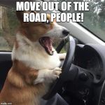 Rage Corgi | MOVE OUT OF THE ROAD, PEOPLE! | image tagged in rage corgi | made w/ Imgflip meme maker