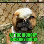Serious Chick Pun | HEY DOG! WHERE DO MICE PARK THEIR BOATS? AT THE HICKORY DICKORY DOCK! | image tagged in serious chick pun | made w/ Imgflip meme maker