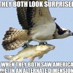 eagle carrying fish | THEY BOTH LOOK SURPRISED; WHEN THEY BOTH SAW AMERICA DIE (IN AN ALTERNATE DIMENSION) | image tagged in eagle carrying fish | made w/ Imgflip meme maker