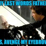 Darth Vader's Last Words | ANY LAST WORDS FATHER? YES, AVENGE MY EYEBROWS | image tagged in darth vader's last words,memes,meme,eyebrows,funny,darth vader luke skywalker | made w/ Imgflip meme maker