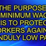Blue Background | THE PURPOSE OF MINIMUM WAGES    IS TO PROTECT WORKERS AGAINST UNDULY LOW PAY. | image tagged in blue background | made w/ Imgflip meme maker