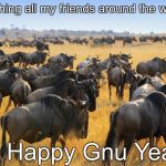 Herd of wildebeests gnus in Africa | Wishing all my friends around the world; A Happy Gnu Year | image tagged in herd of wildebeests gnus in africa | made w/ Imgflip meme maker