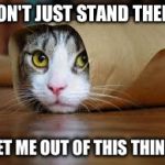 Funny animals | DON'T JUST STAND THERE; GET ME OUT OF THIS THING! | image tagged in funny animals | made w/ Imgflip meme maker