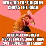 angry: 24+ Angry Chicken Meme Images