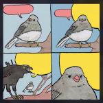 Cawling Crow meme