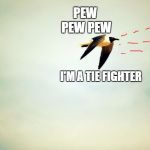 Birds | PEW PEW PEW; I'M A TIE FIGHTER | image tagged in birds | made w/ Imgflip meme maker