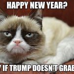 Grumpy Cat New Year | HAPPY NEW YEAR? ONLY IF TRUMP DOESN'T GRAB ME. | image tagged in grumpy cat new year | made w/ Imgflip meme maker