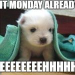 Cute puppy | IZ IT MONDAY ALREADY? MEEEEEEEEHHHHHH | image tagged in cute puppy | made w/ Imgflip meme maker