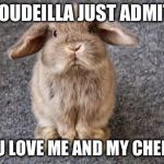 Rabbit | 2 ROUDEILLA JUST ADMIT IT; YOU LOVE ME AND MY CHEEKS | image tagged in rabbit | made w/ Imgflip meme maker