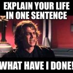 anakin | EXPLAIN YOUR LIFE IN ONE SENTENCE; WHAT HAVE I DONE! | image tagged in anakin | made w/ Imgflip meme maker