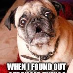o rly pug | MY FACE; WHEN I FOUND OUT STRANGER THINGS IS DELAYED TILL 2019 | image tagged in o rly pug | made w/ Imgflip meme maker