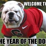 uga | WELCOME TO 2018... THE YEAR OF THE DOG. | image tagged in uga | made w/ Imgflip meme maker