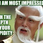 Wise Man Is Impressed | WITH THE DEPTH OF YOUR STUPIDITY; I AM MOST IMPRESSED | image tagged in wise man is impressed | made w/ Imgflip meme maker
