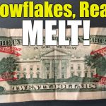 Melt some Snowflakes! | MELT! Snowflakes, Ready: | image tagged in trumpdollar,trump,college liberal,point and laugh,trump lives here | made w/ Imgflip meme maker