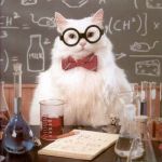 Science cat | ENRICO FUR-ME; I  AM PHYSICIST | image tagged in science cat | made w/ Imgflip meme maker