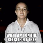 crazy bald britney spears | WHY I AM I ON THE KEEBLER ELF TREE | image tagged in crazy bald britney spears | made w/ Imgflip meme maker