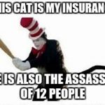 cat assasin | THIS CAT IS MY INSURANCE; HE IS ALSO THE ASSASSIN OF 12 PEOPLE | image tagged in cat assasin | made w/ Imgflip meme maker