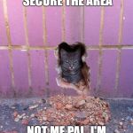 Rainbow six cat | WALL BREACHED! SECURE THE AREA; NOT ME PAL, I'M JUST HERE TO WATCH | image tagged in rainbow six cat | made w/ Imgflip meme maker