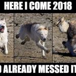 Moon Moon | HERE I COME 2018; AND ALREADY MESSED IT UP | image tagged in moon moon | made w/ Imgflip meme maker