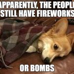 Sad Dog | APPARENTLY, THE PEOPLE STILL HAVE FIREWORKS; OR BOMBS | image tagged in sad dog | made w/ Imgflip meme maker
