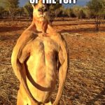 Buff Kangaroo | I’M BUFF OF THE TUFF; GET ROASTED | image tagged in buff kangaroo | made w/ Imgflip meme maker