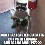 what goes best? white or red? | CAN I HAZ TOASTED CIABATTA BUN WITH ARUGULA AND GARLIC AIOLI, PLZ??? | image tagged in raccoon carrying cat,memes,food,cats,raccoon,pretentious | made w/ Imgflip meme maker
