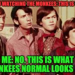 Monkees | FRIEND WATCHING THE MONKEES: THIS IS WEIRD; ME: NO. THIS IS WHAT MONKEES NORMAL LOOKS LIKE | image tagged in monkees | made w/ Imgflip meme maker